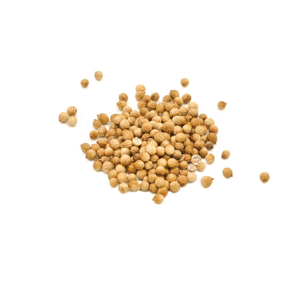 Cilantro en grano