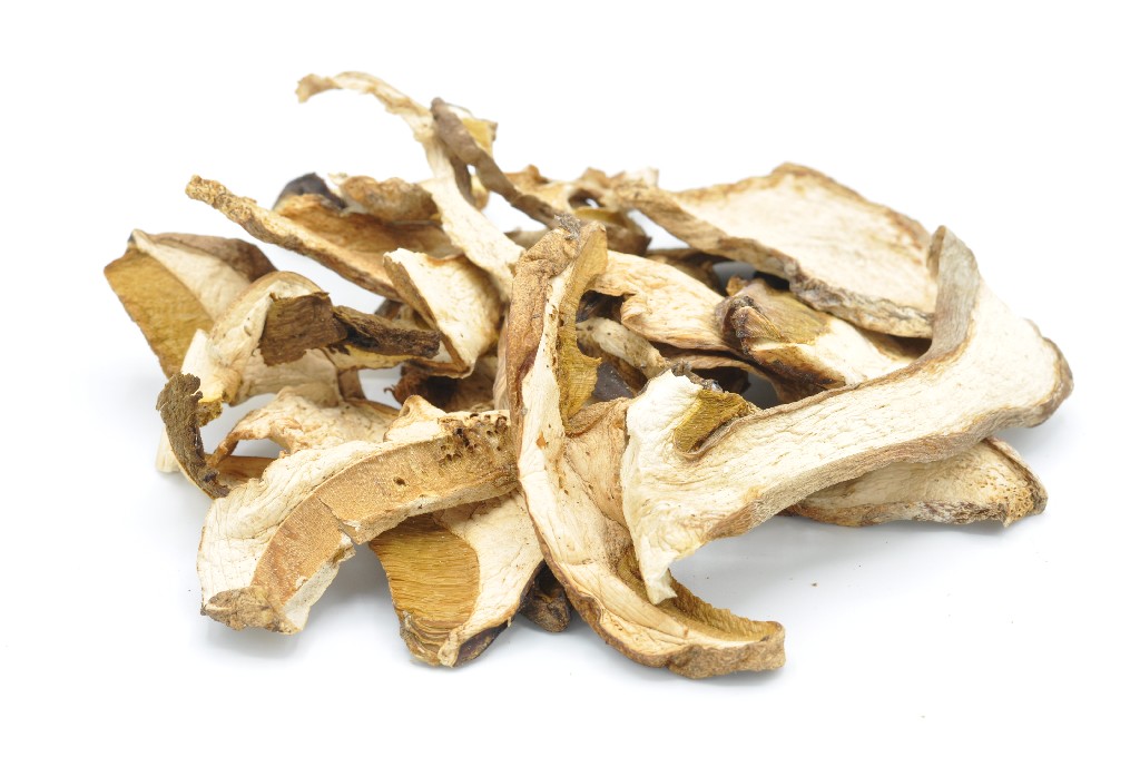 Boletus