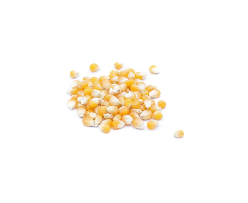 Maíz palomitas ecológico