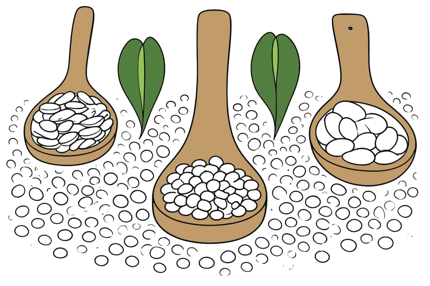 Comprar a granel: una manera més sostenible de comprar aliments